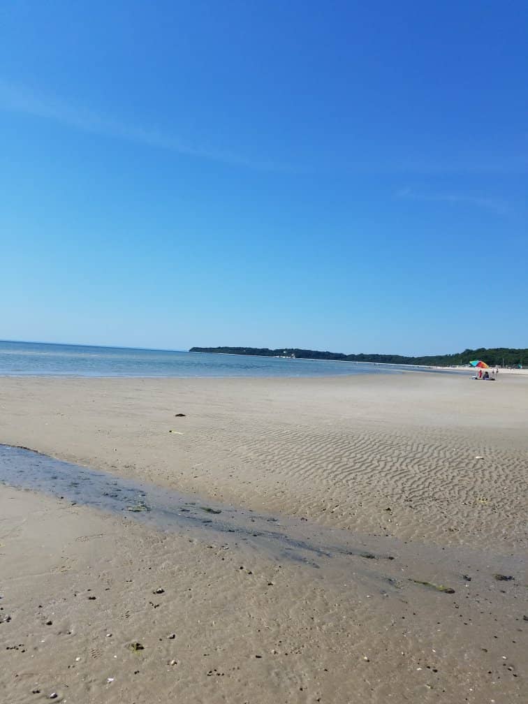 Environmental Programs