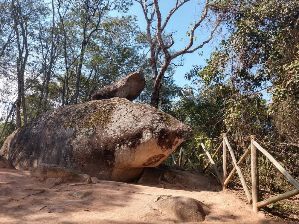 Shark Stone Trail