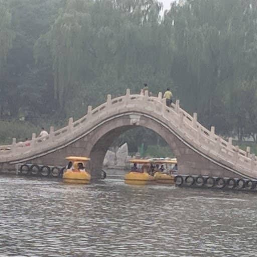 Bridges and Walkways