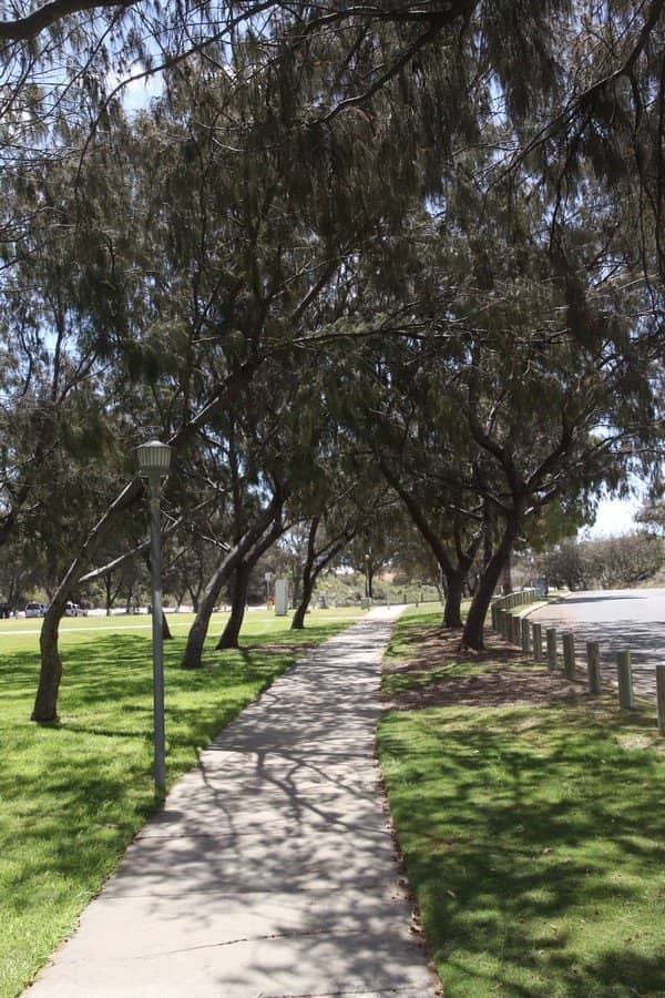 Coastal Path Access