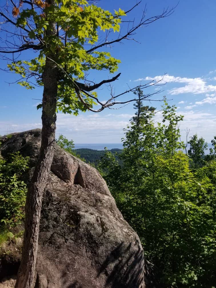 Fall Foliage Spectacle