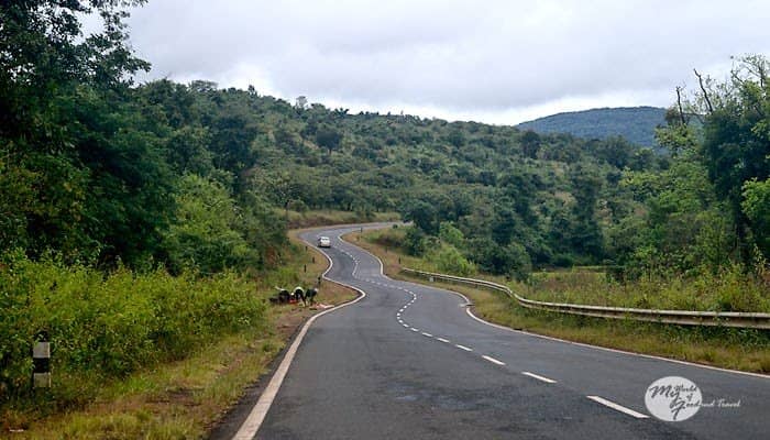 Musical Fountain Show