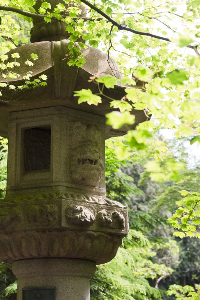 Koi Pond & Waterfalls