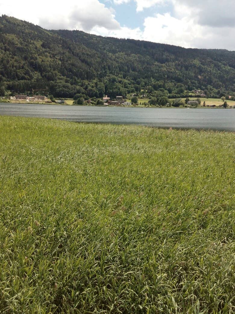 Biodiversity Hotspot