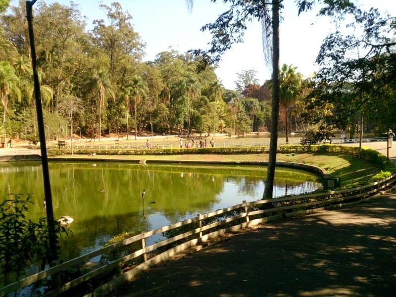 Birdwatching Opportunities