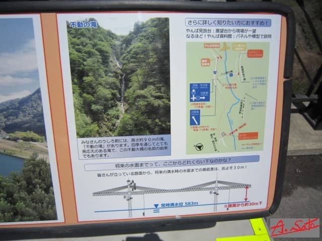 Autumn Foliage Spectacle