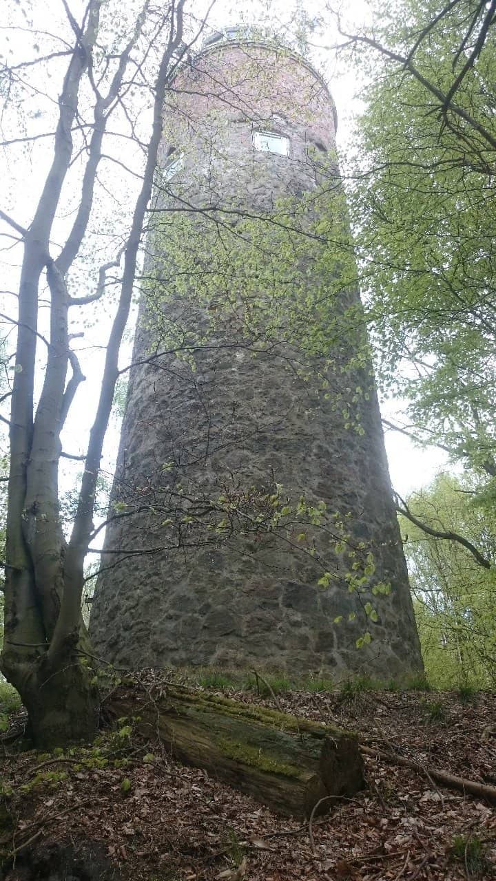 Vertical photo