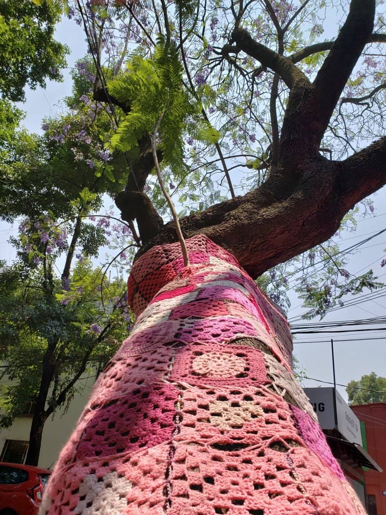 Vertical photo