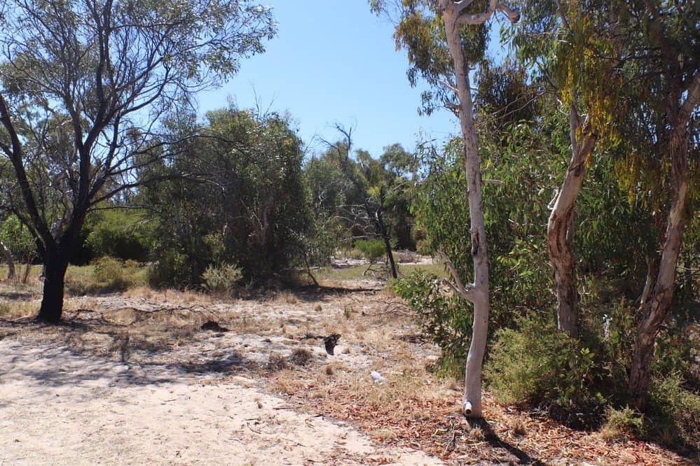Coastal Remnant Landscape