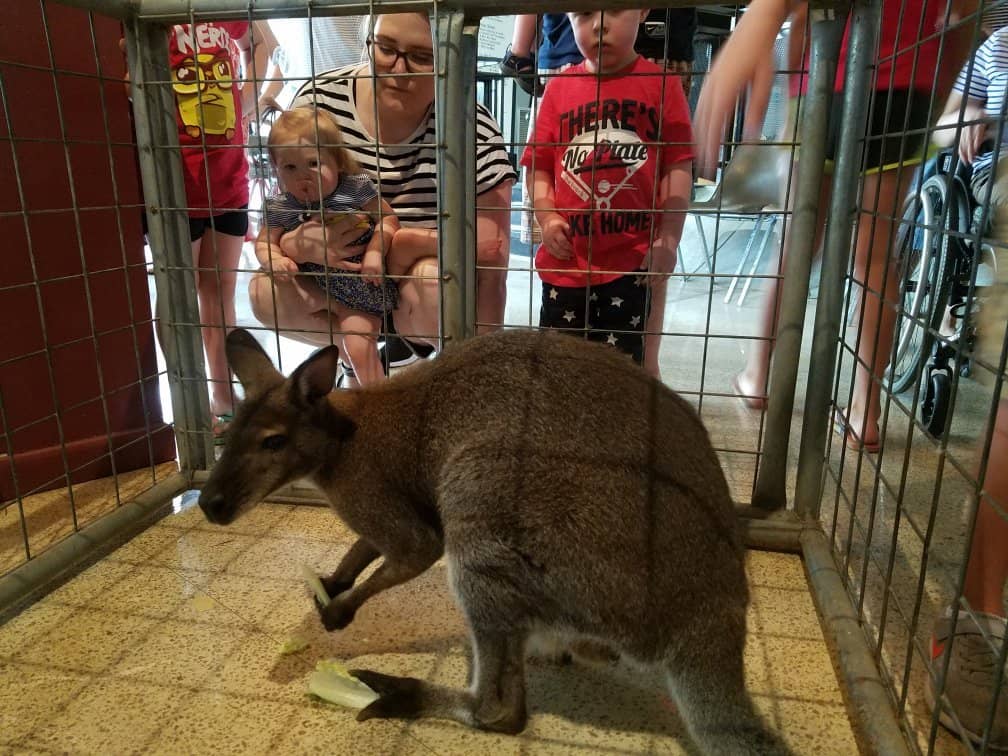 Gem and Fossil Collection