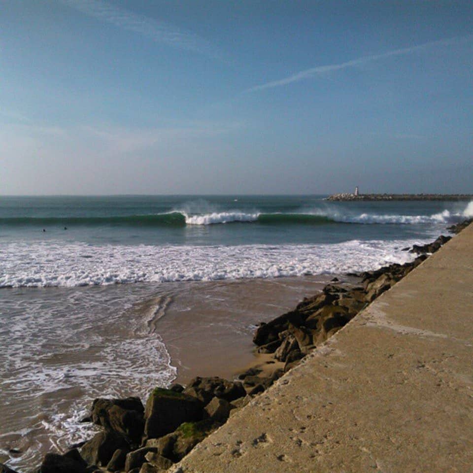 Vertical photo