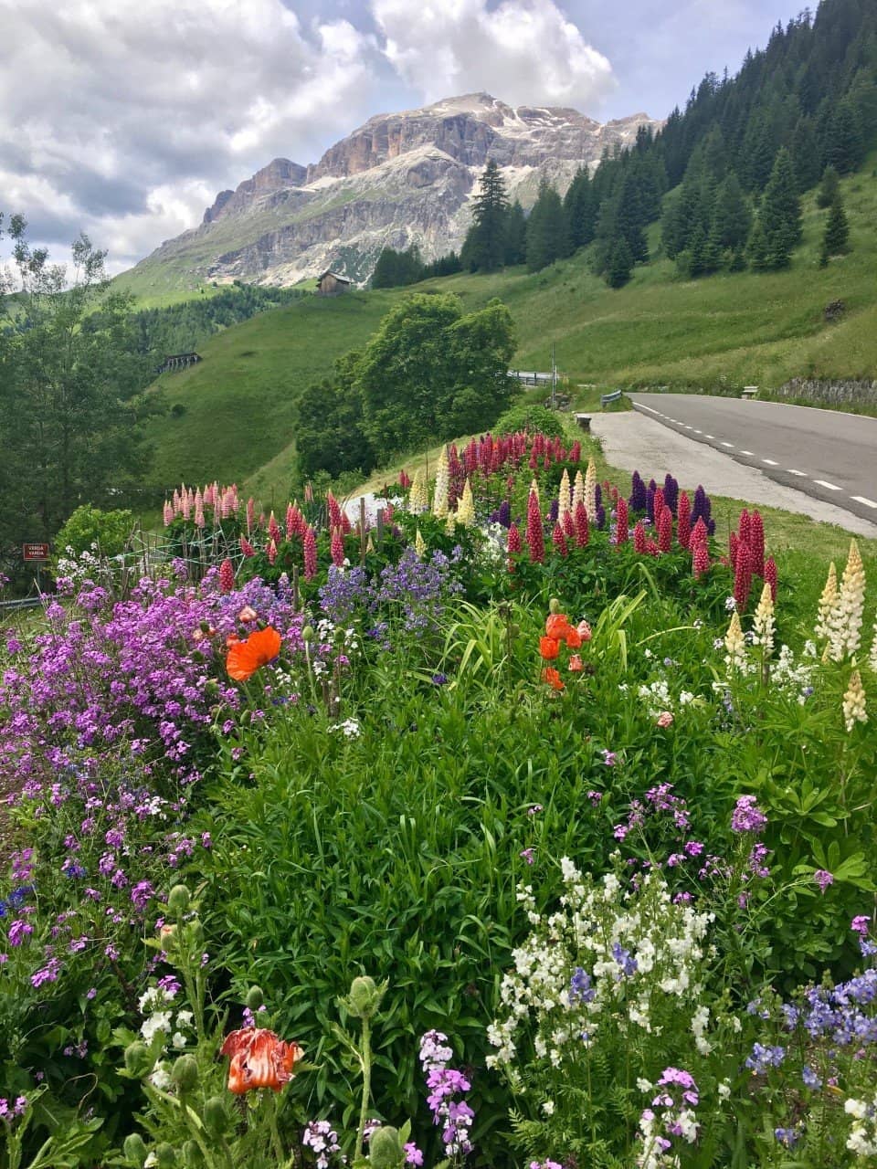 Mid-Station Viewpoint