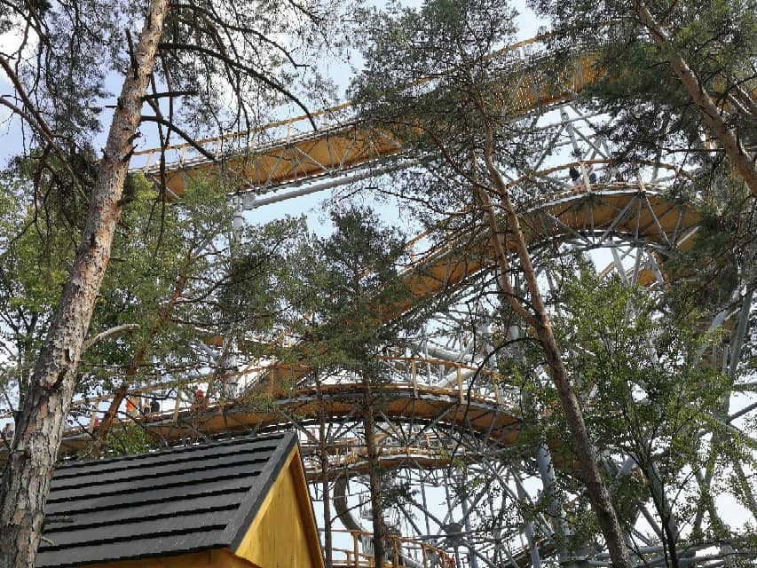 Vertical photo