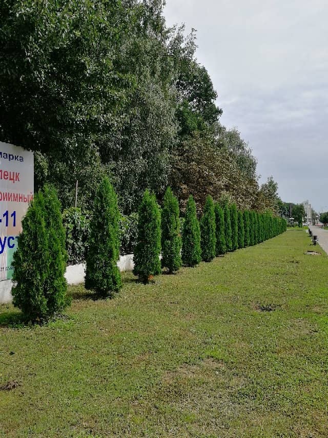 Family Recreation Spot