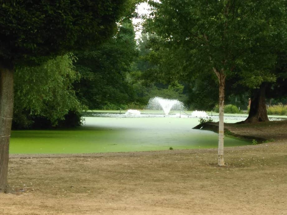 Japanese Garden