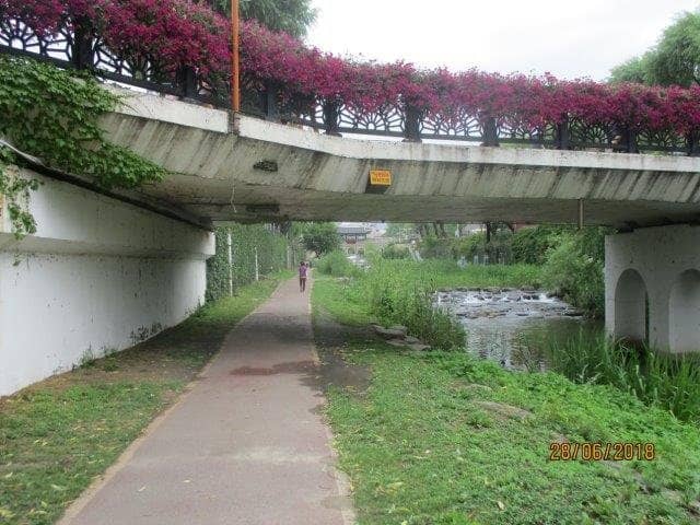 Heron Sightings