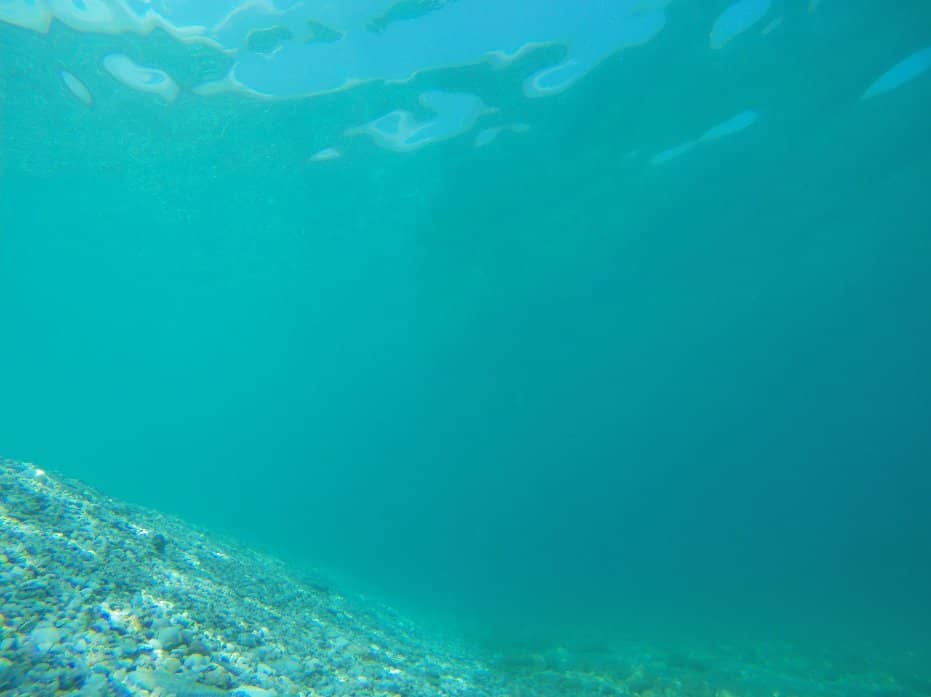 Pebble-Strewn Seabed