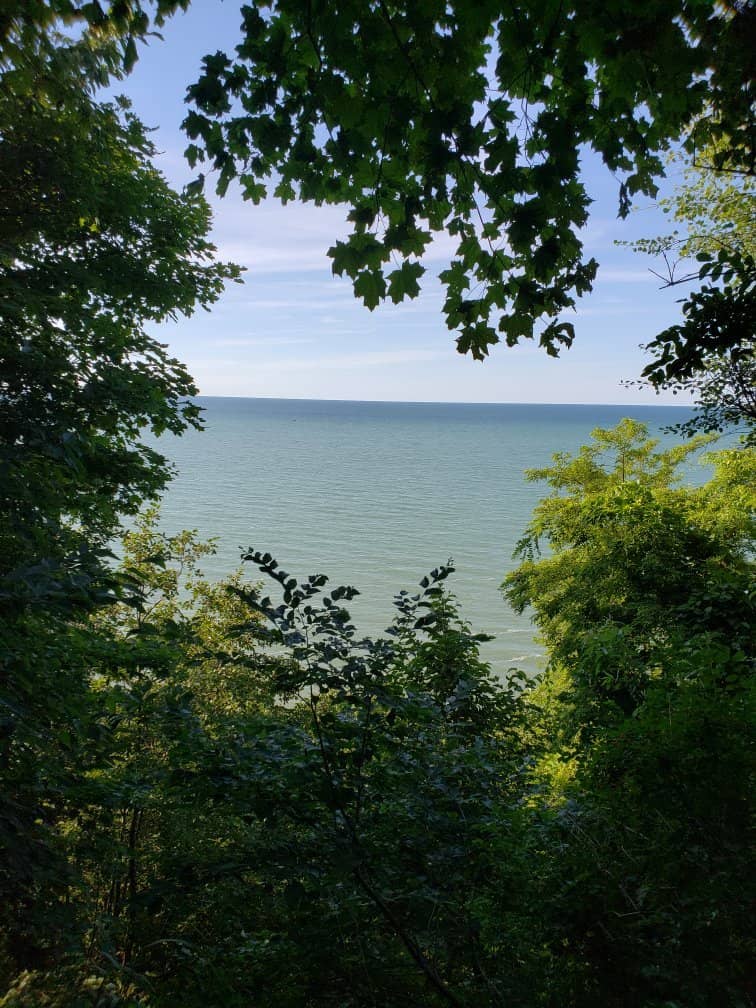 Shoreline Access