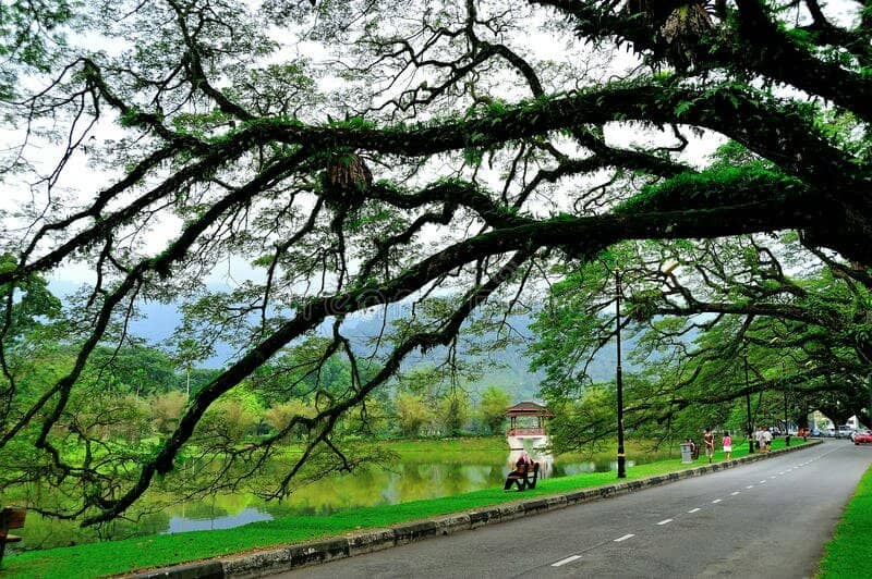 Serene Lakes