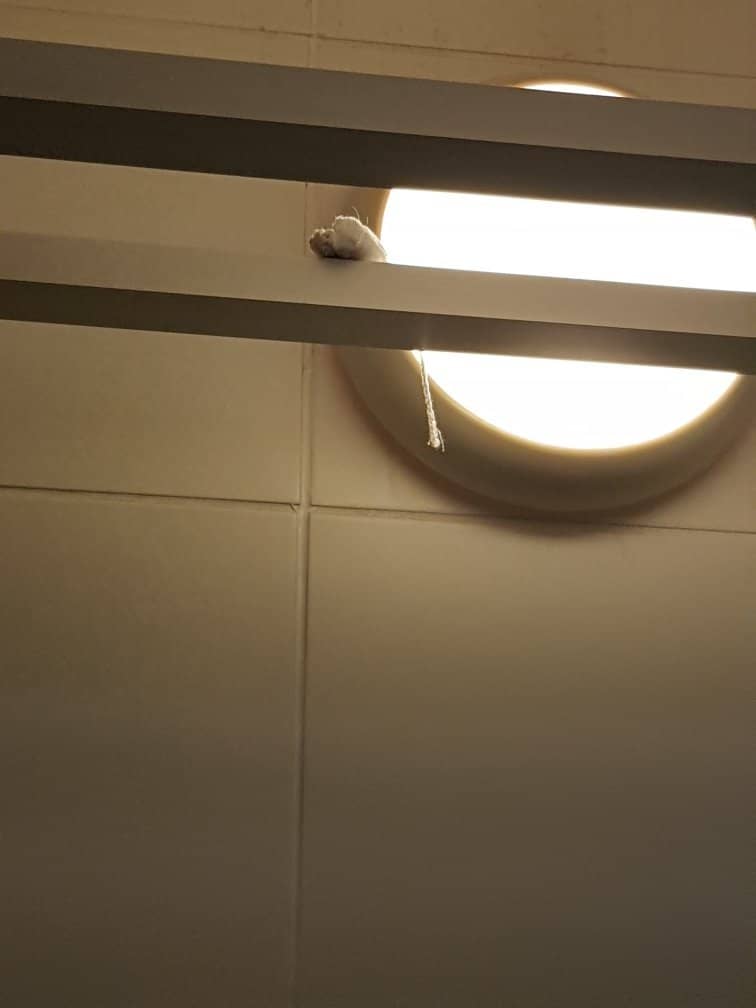 Wave Machine & Lazy River