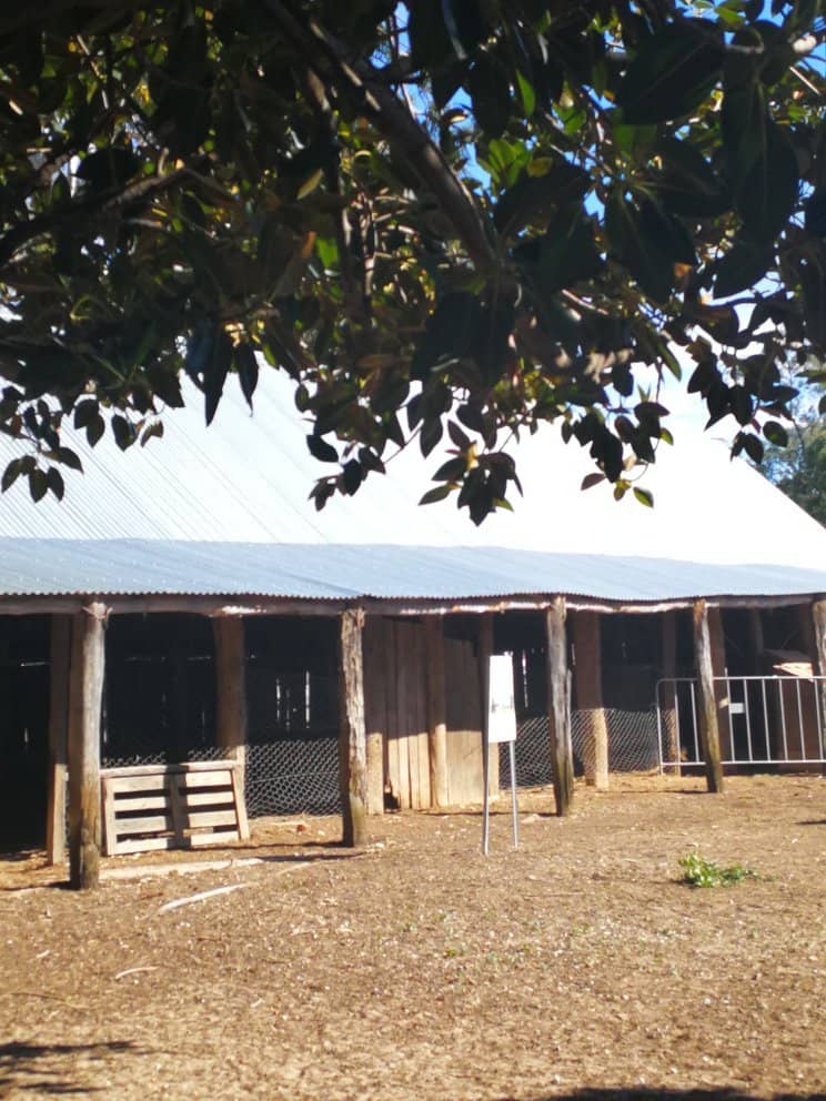 Family Fun & Playgrounds