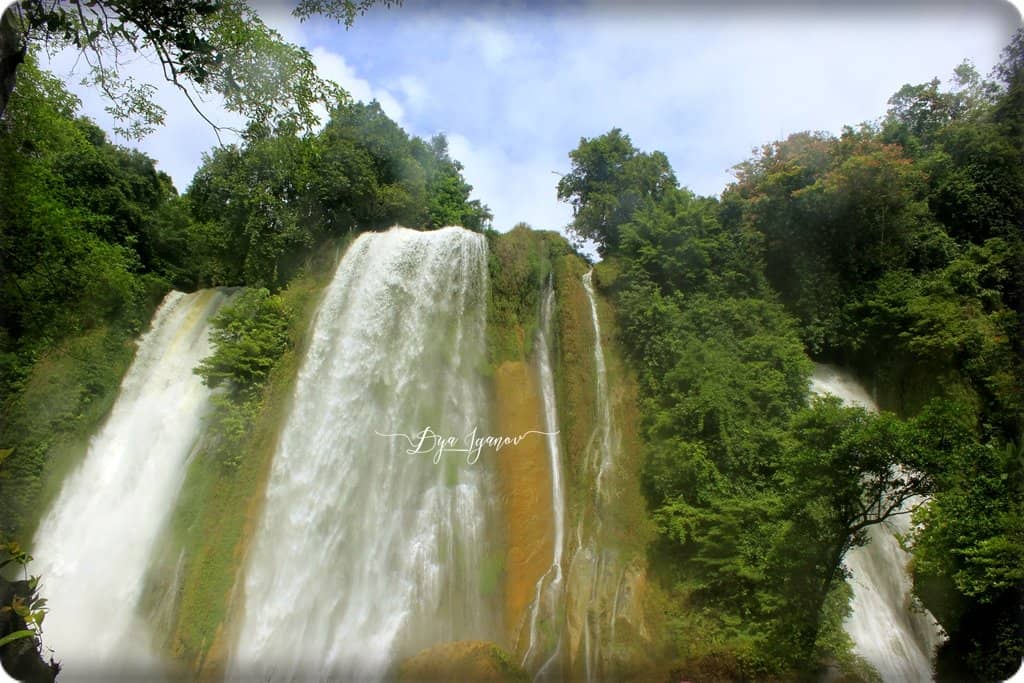 Vertical photo