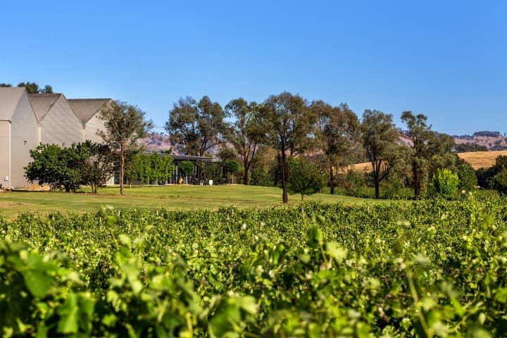 Complimentary Wine Tastings