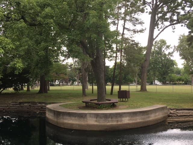 Shaded Picnic Spots