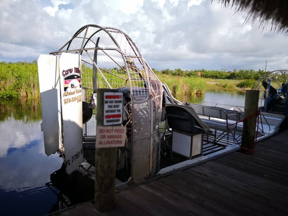 Alligator Sightings