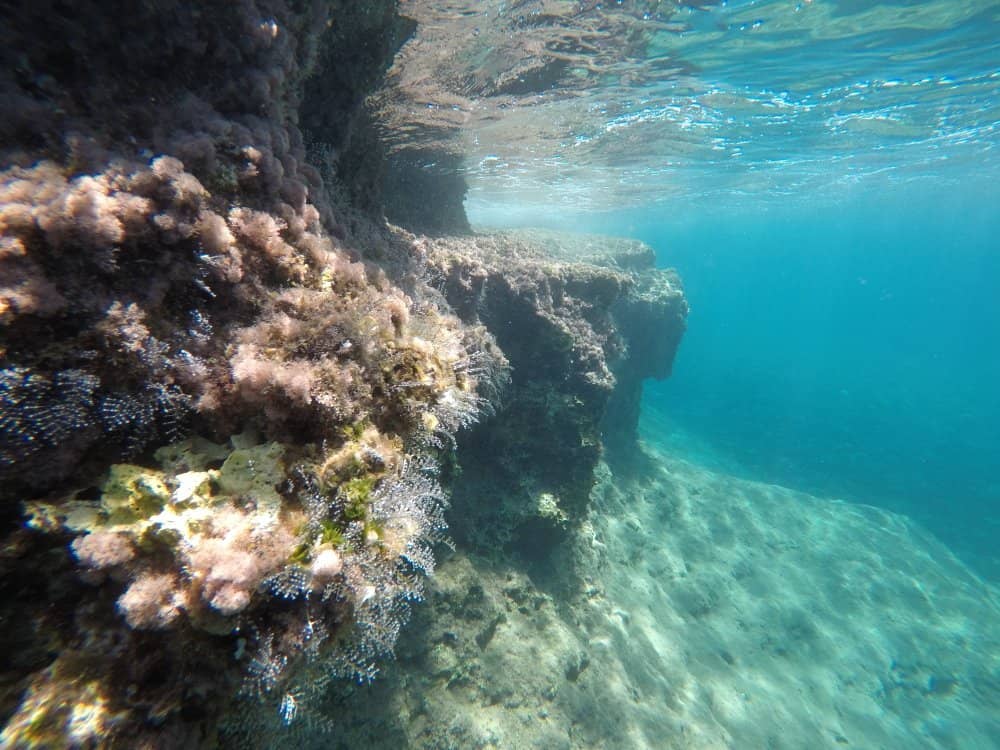 Crystal Clear Waters