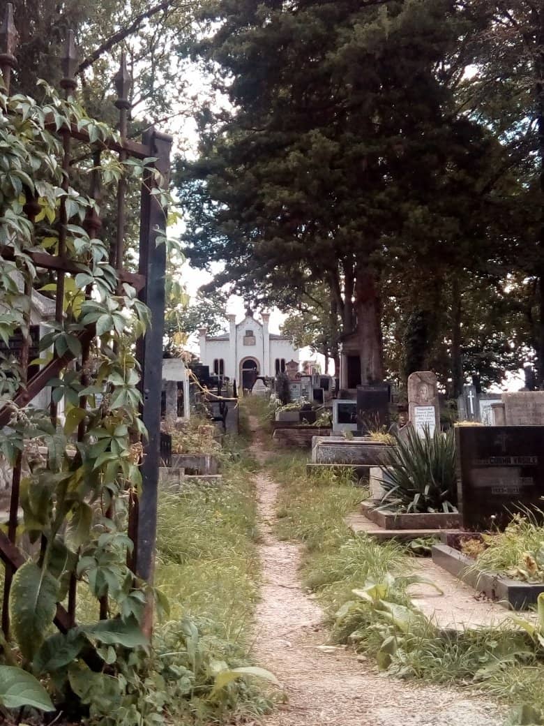 Immaculate Maintenance