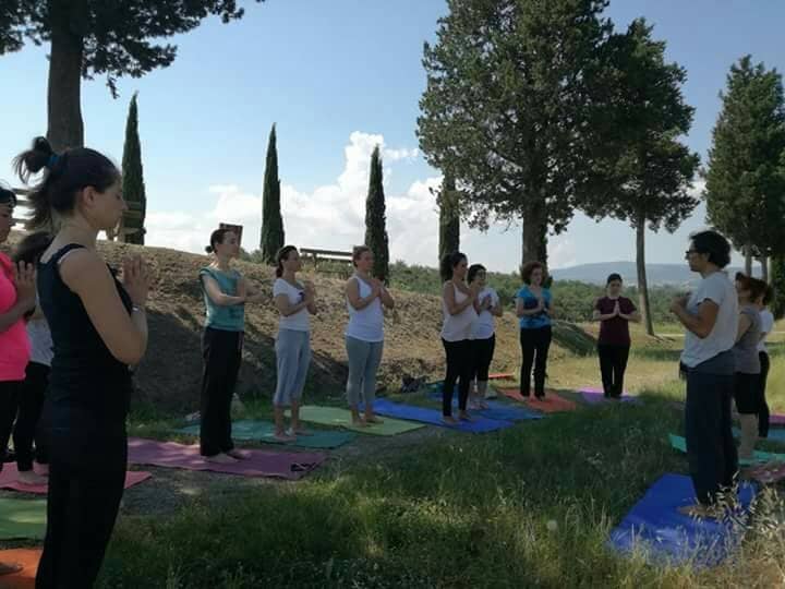 Cypress-Lined Trails