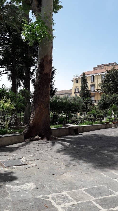 University Atmosphere