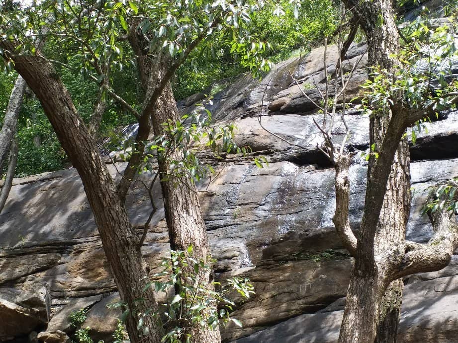 The Trekking Path