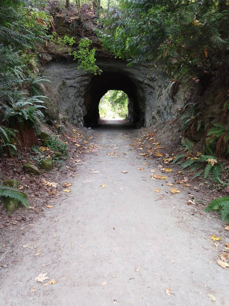 Sehome Hill Arboretum Trails