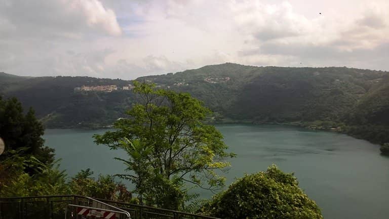 Wild Strawberry Delicacies