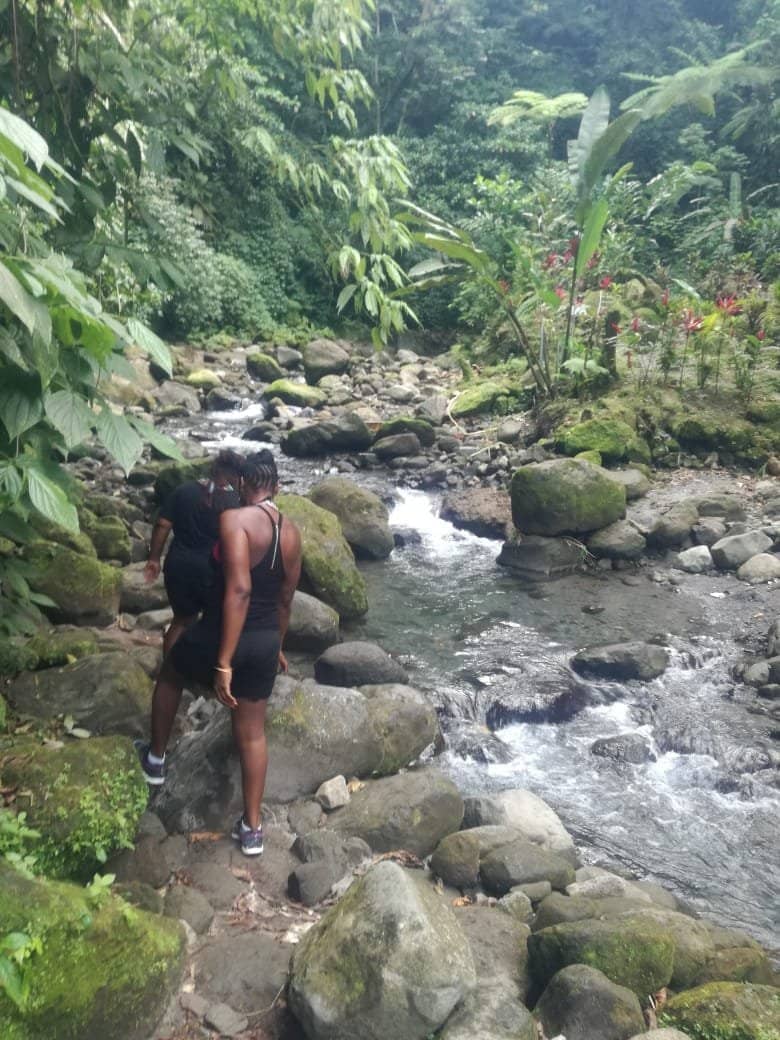 Cascading Waterfalls