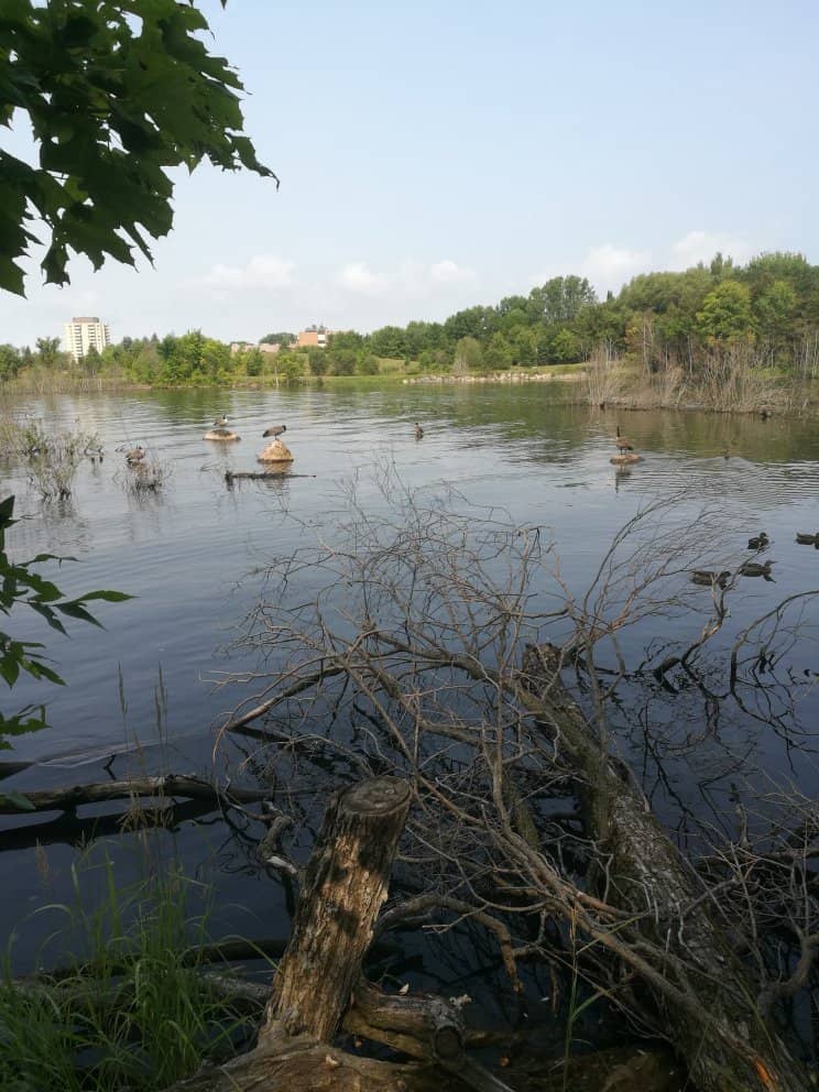 Fishing Hotspot