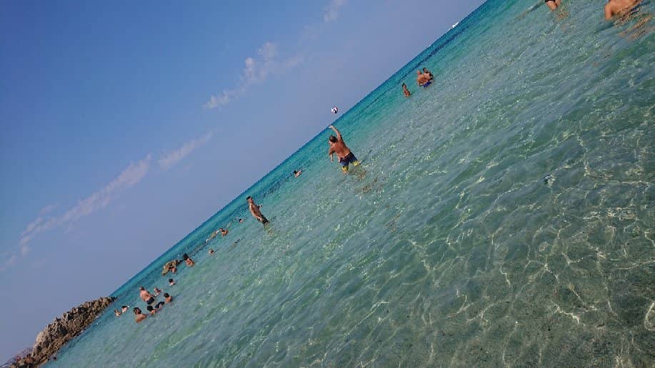 Paradise Beach Bar