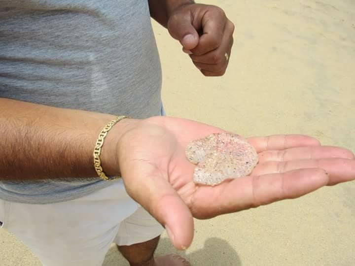 Scenic Coastal Drive