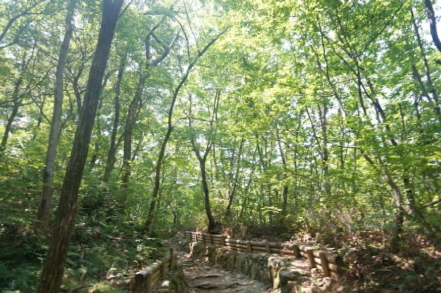 Panoramic Autumn Views