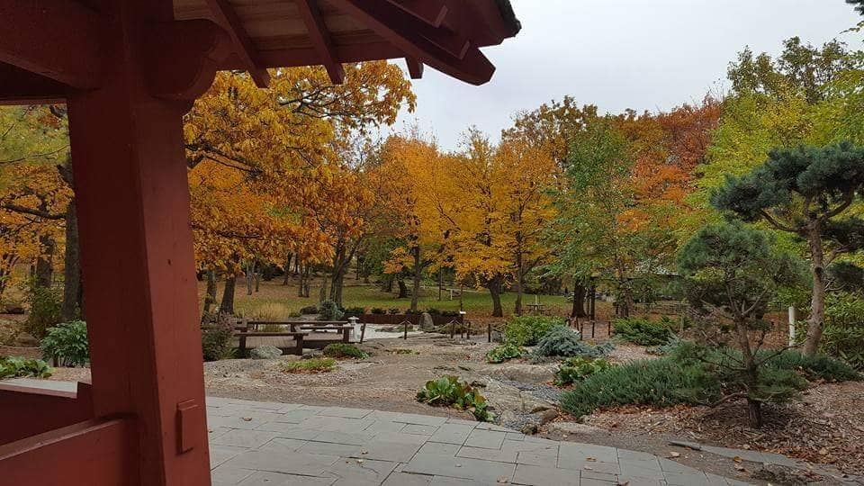 Japanese Garden