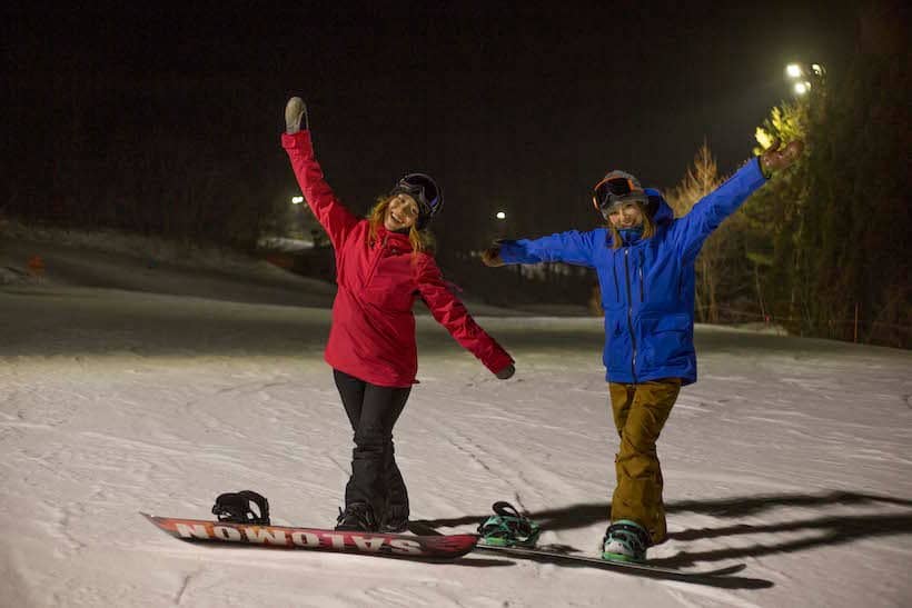 Spring Daffodil Blooms
