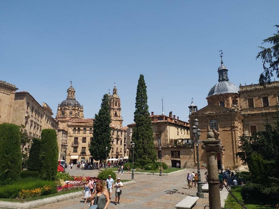 Inside the Cathedral from Above
