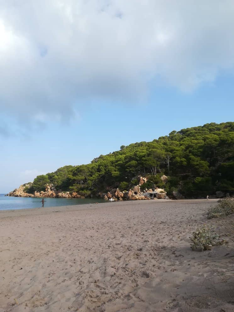 Crystal-Clear Waters