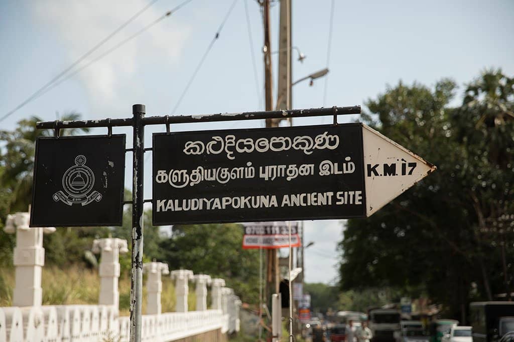 The Black Water Pond