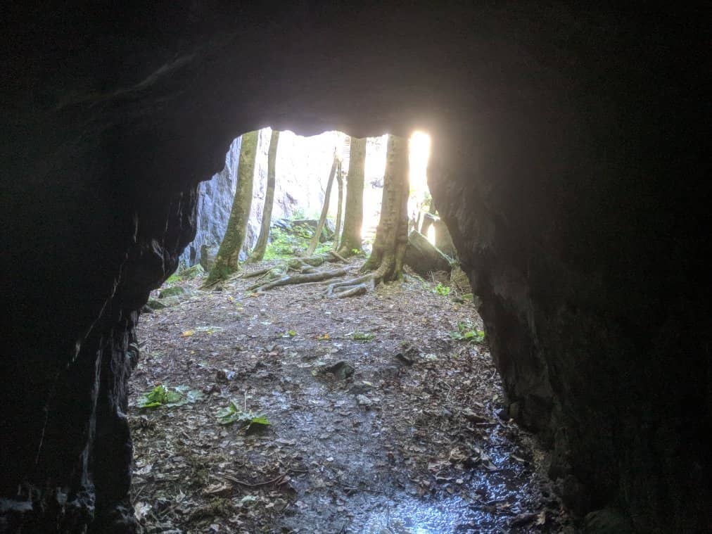 Thought-Provoking Exhibitions