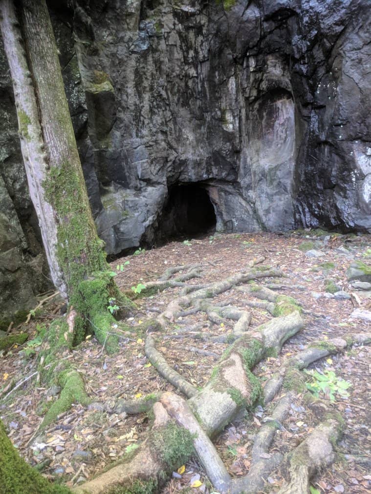 Vertical photo
