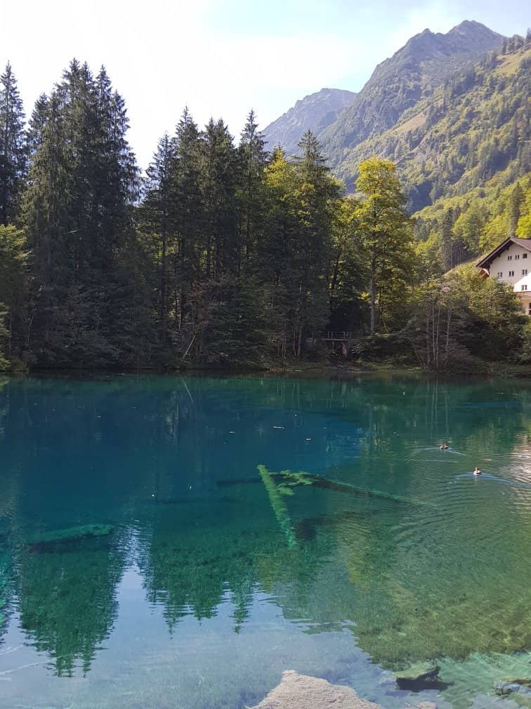 Year-Round Phenomenon