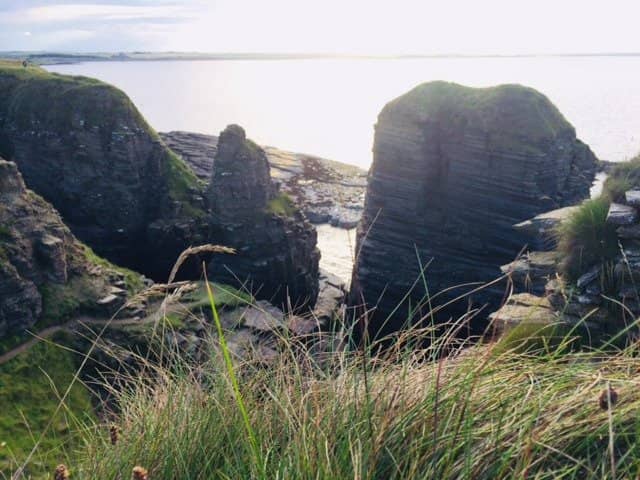 Vertical photo